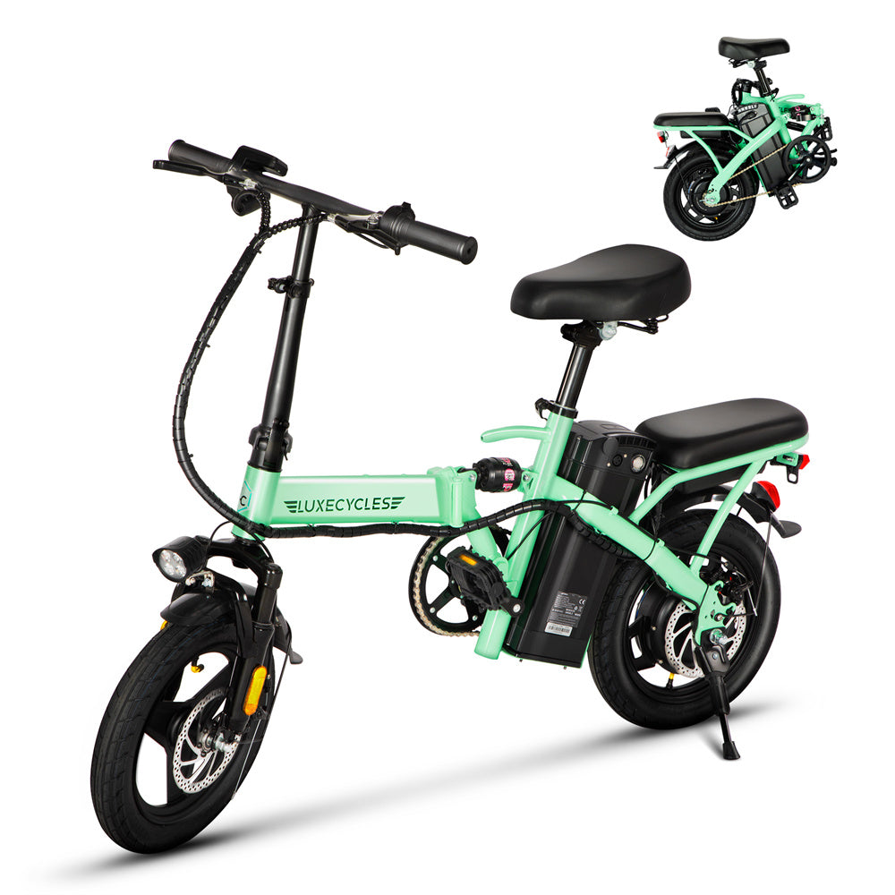 Alpha Camp Electric Bike with 500W Motor 48V Battery for City