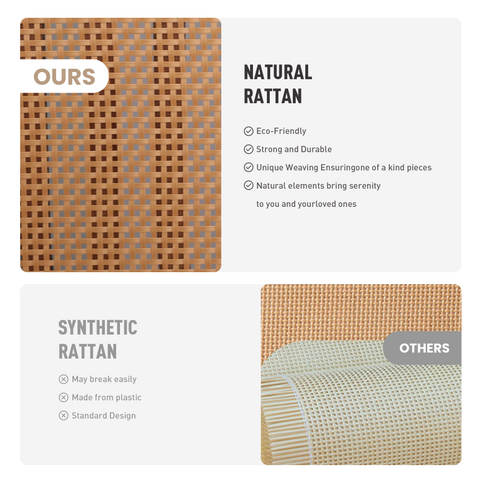 Stylish Rattan 2 Door Storage Cabinet- MFSTUDIO