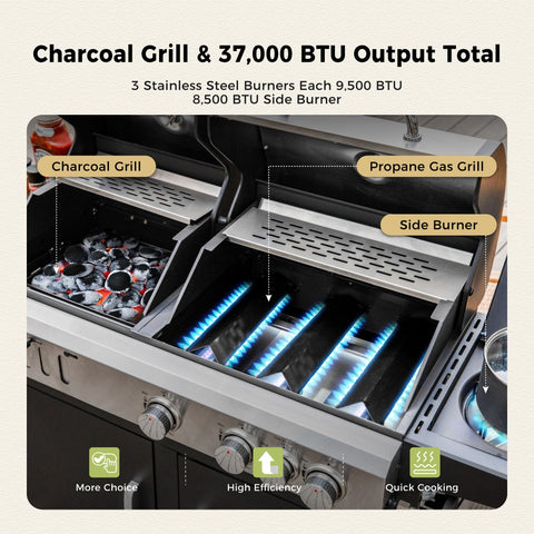 Captiva Designs Outdoor Propane Grill & Charcoal Grill Combo