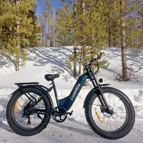 Alpha Camp 26" Rated 500W Peak 1000W E-Bike, 26" Fat Tire Electric Mountain Bike, 48V Ebike for Adults with LED Headlight UL2849