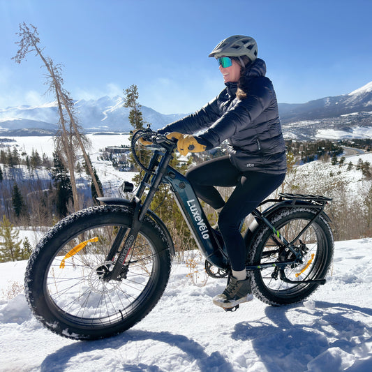 Alpha Camp 26" Rated 500W Peak 1000W E-Bike, 26" Fat Tire Electric Mountain Bike, 48V Ebike for Adults with LED Headlight UL2849